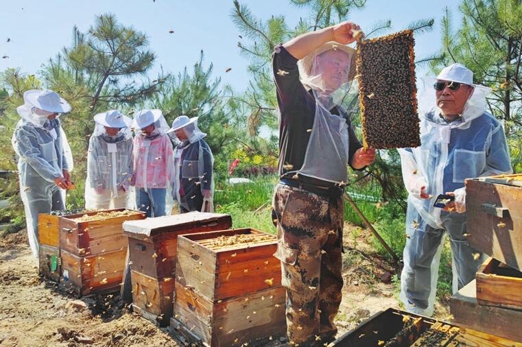 推动乡村振兴 实现农民增收